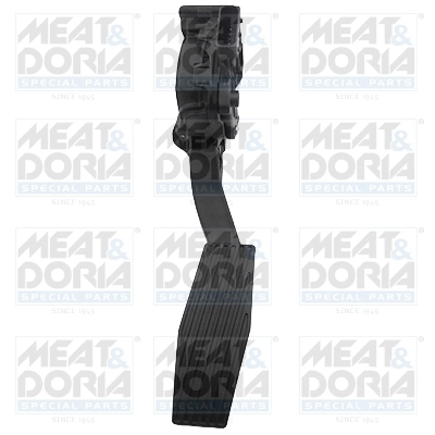 Accelerator Pedal Unit